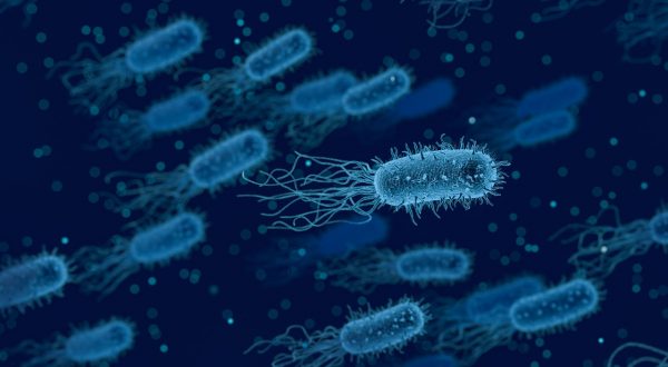 bacteria-3662695_1280
